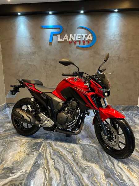 YAMAHA FAZER 250 CONNECT 001