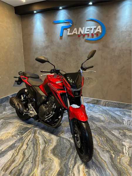 YAMAHA FAZER 250 CONNECT 002