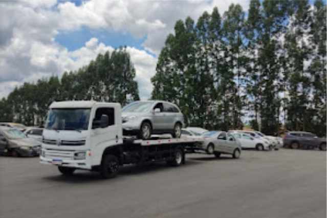 mordomo transportes 003